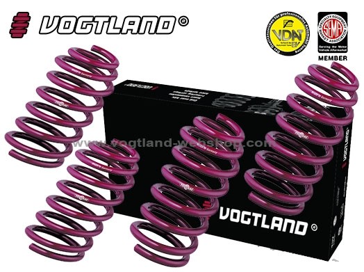 Verlagingsveren Ford Mondeo, Typ BA7, Turnier, 2.0l, 2.2l, 2.5l