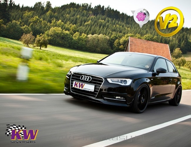 Schroefset KW V2 inox Renault Megane M 1.9 dCi 11/2002-