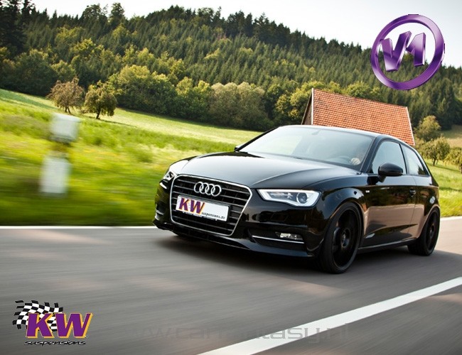 Schroefset KW V1 inox Mini Mini R50 (MINI, MINI-N, R50) Cooper 1